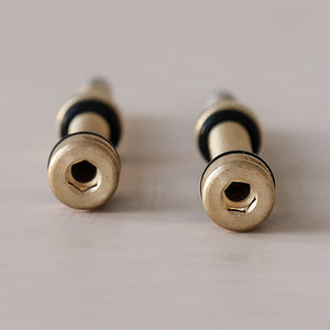 Brass Tubeless Valve Set